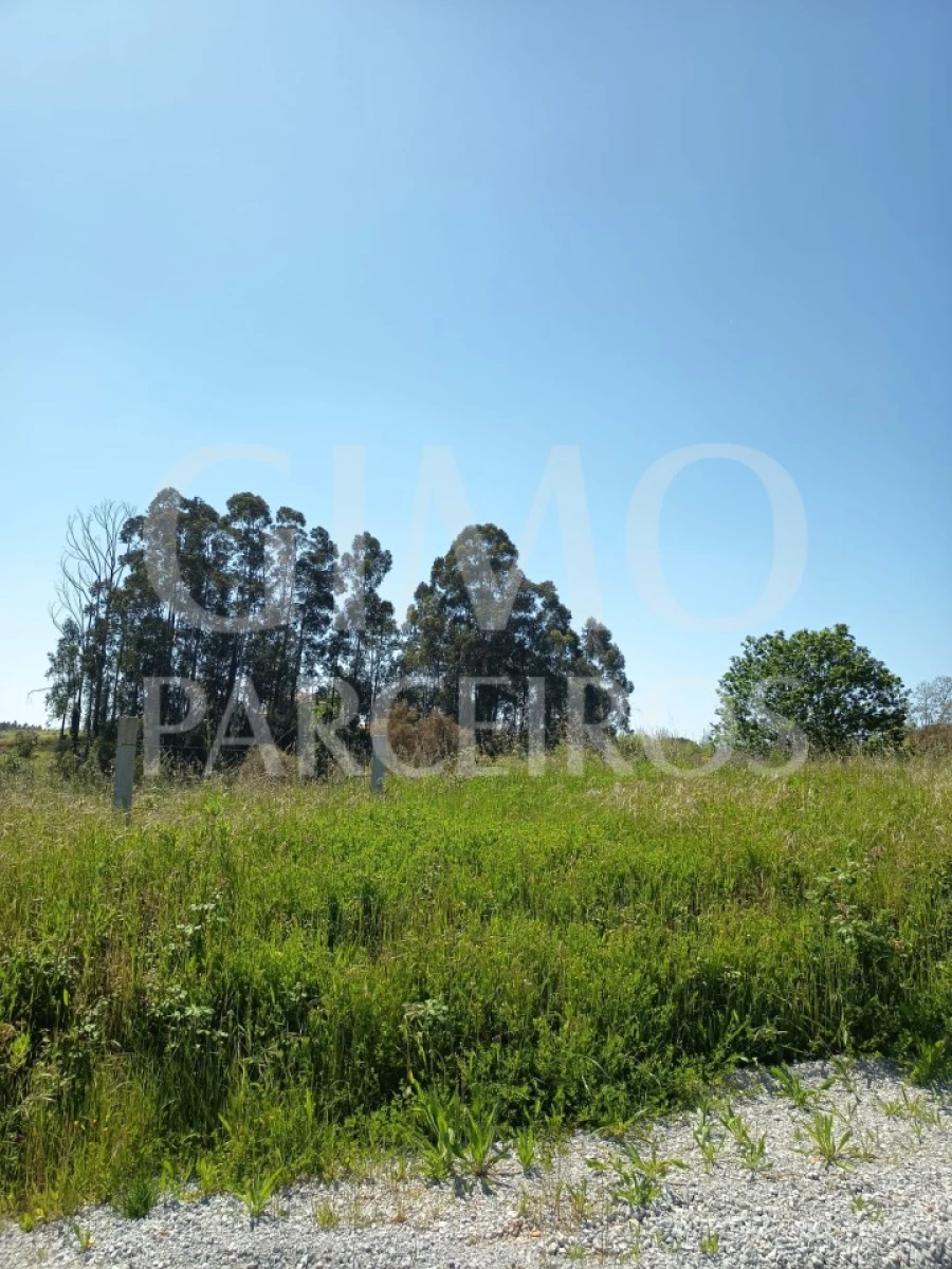 Terreno para Venda em Oiã Foto 7