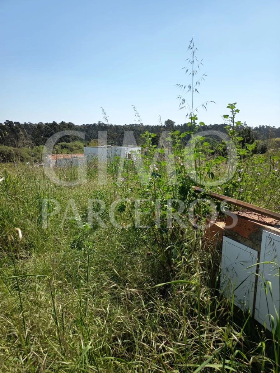 Terreno para Venda em Oiã Foto 8