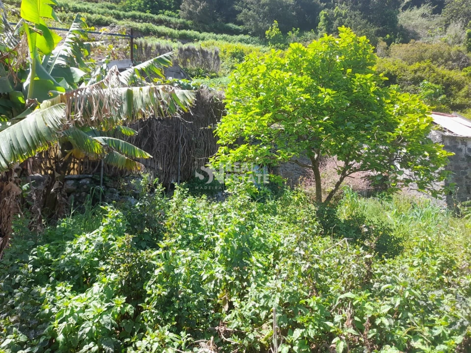 Terreno para Venda em Seixal Foto 6