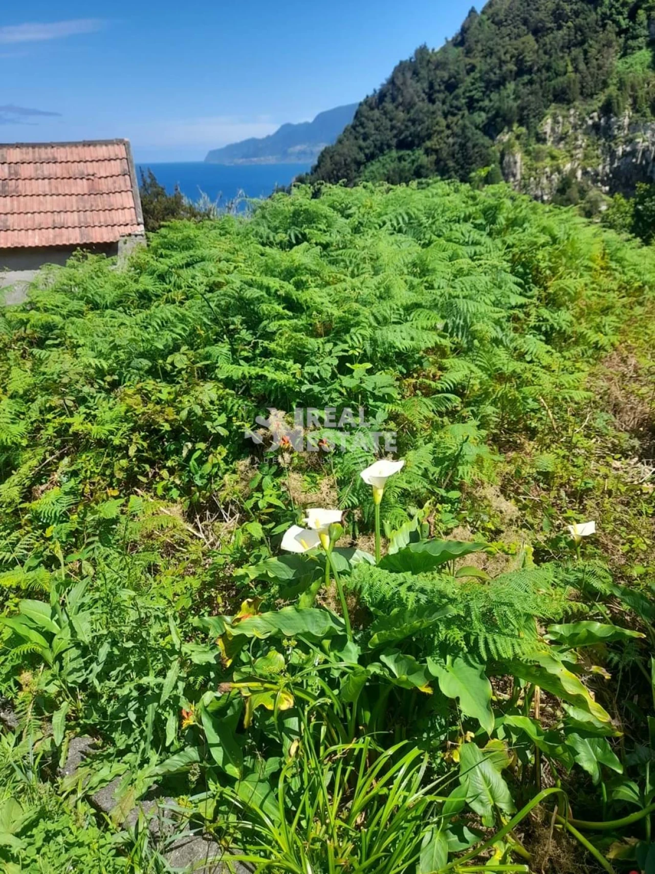 Terreno para Venda em Seixal Foto 9