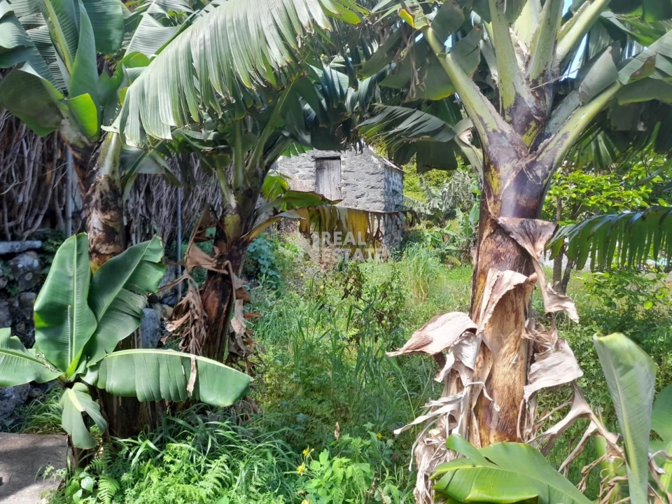 Terreno para Venda em Seixal Foto 11