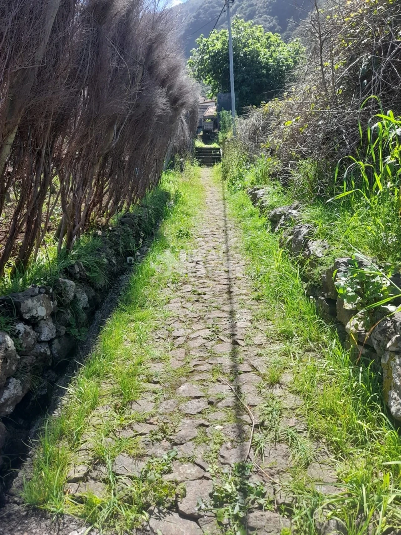 Terreno para Venda em Seixal Foto 13