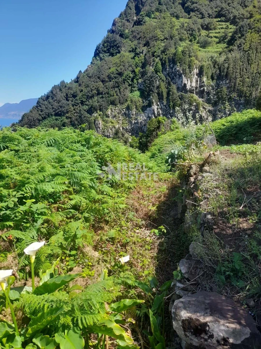 Terreno para Venda em Seixal Foto 14