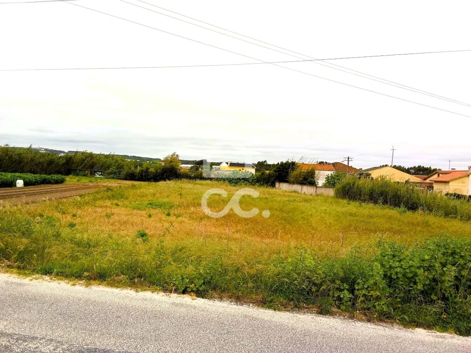 Terreno para Venda em Silveira Foto 2