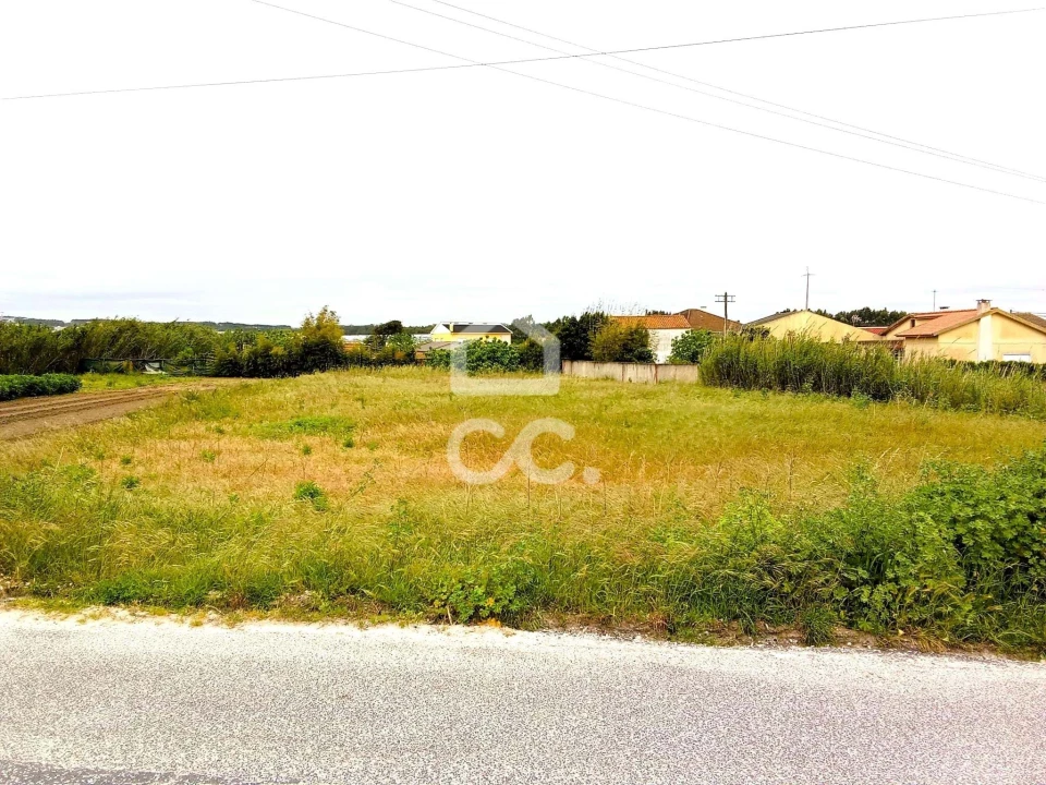 Terreno para Venda em Silveira Foto 4