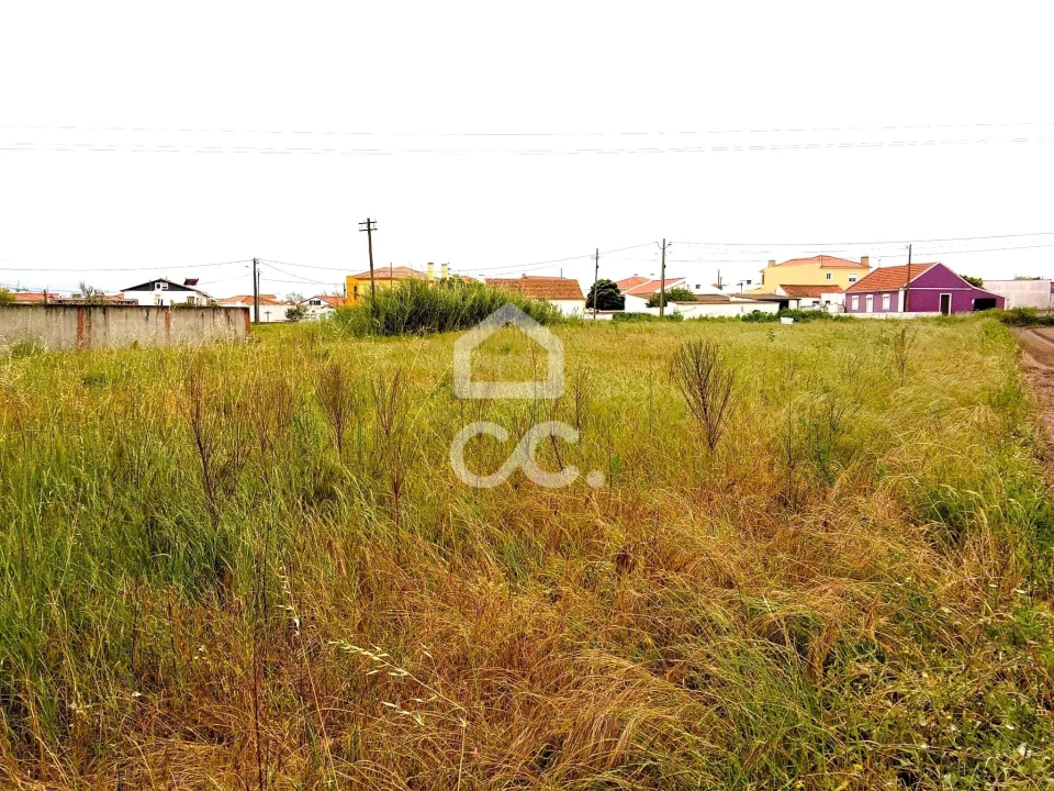 Terreno para Venda em Silveira Foto 7