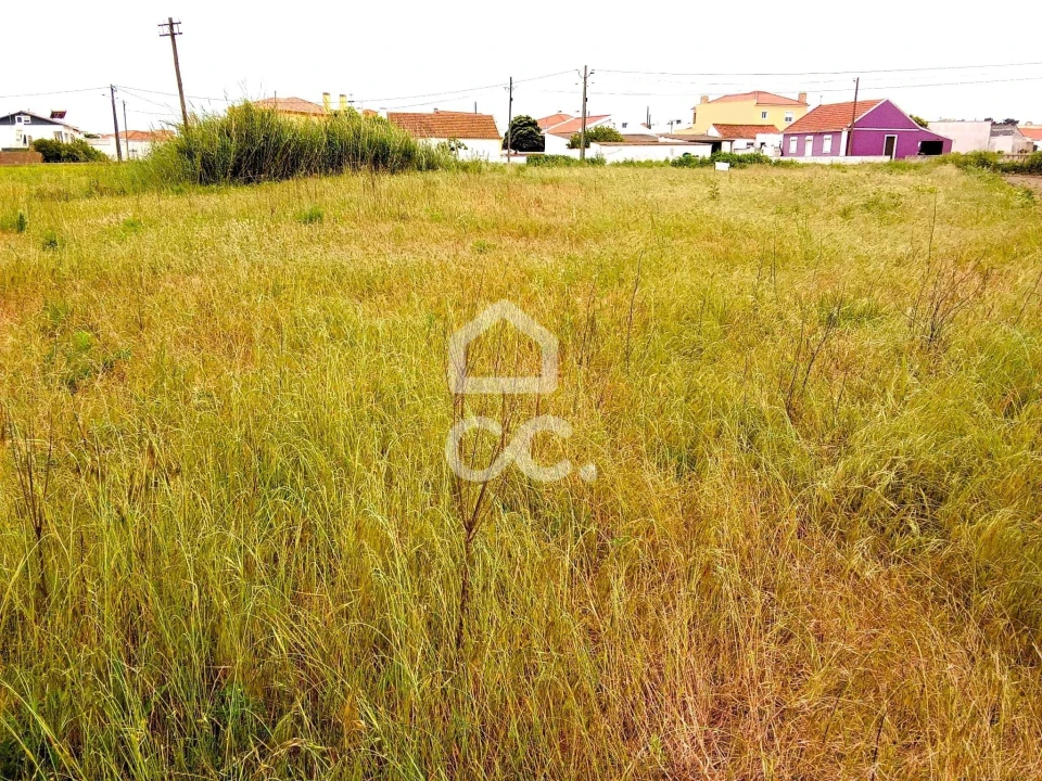 Terreno para Venda em Silveira Foto 5