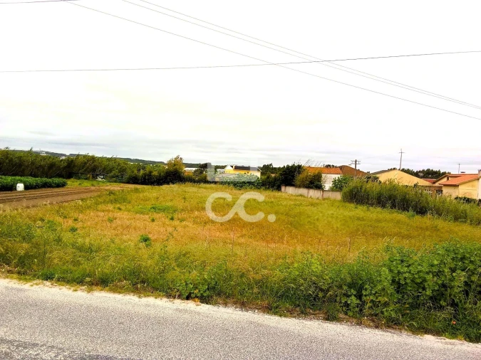 Terreno para Venda em Silveira Foto 2