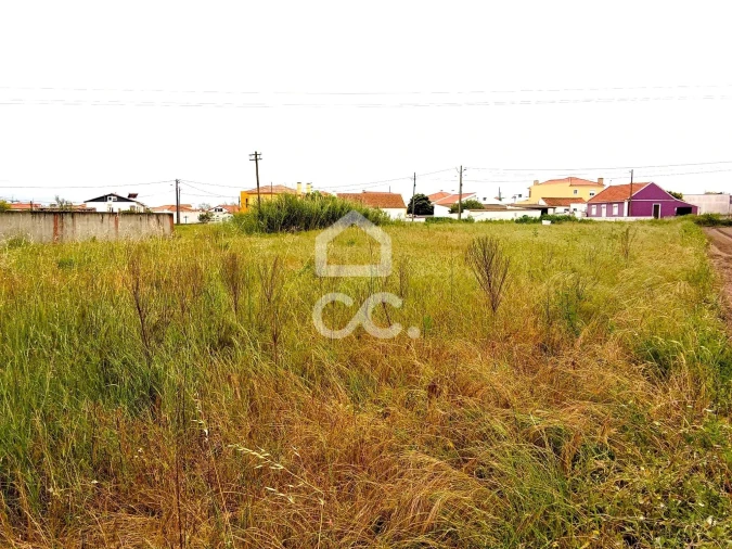 Terreno para Venda em Silveira Foto 7