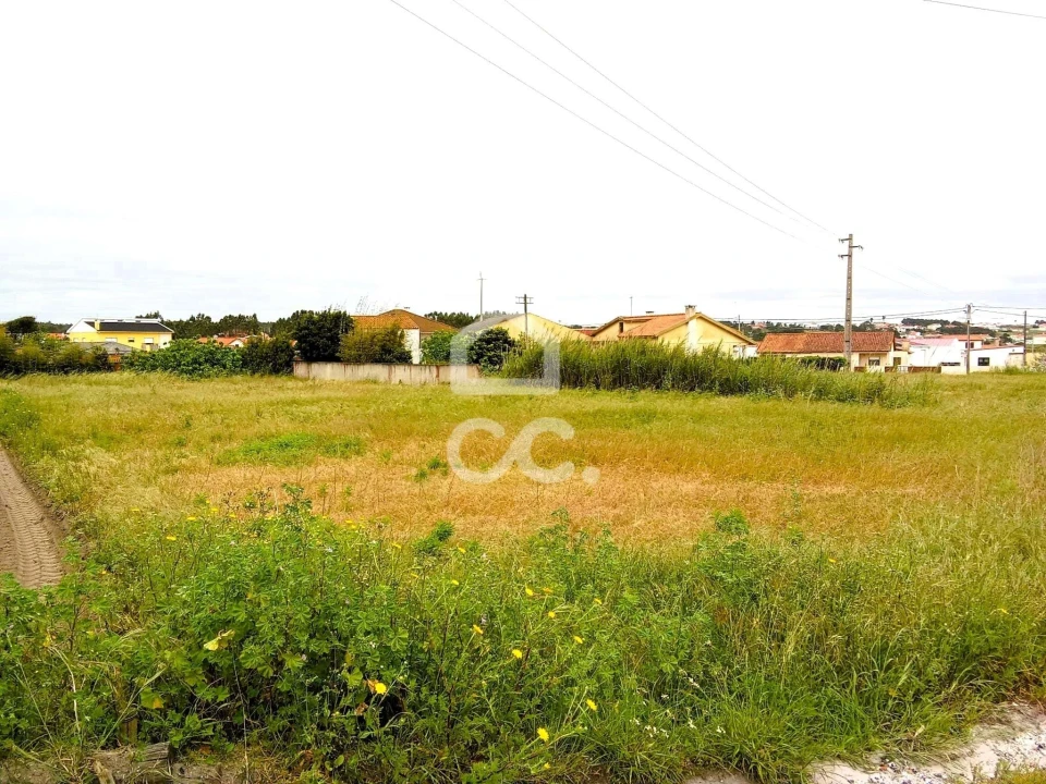 Terreno para Venda em Silveira Foto 6