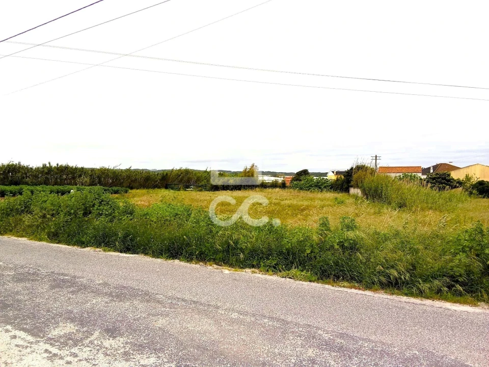 Terreno para Venda em Silveira Foto 1