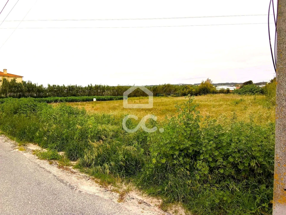 Terreno para Venda em Silveira Foto 3