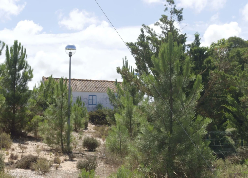 Terreno para Venda em Comporta Foto 7