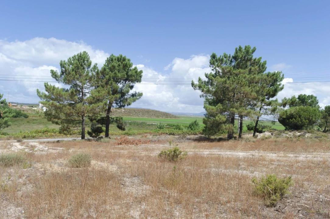 Terreno para Venda em Comporta Foto 8