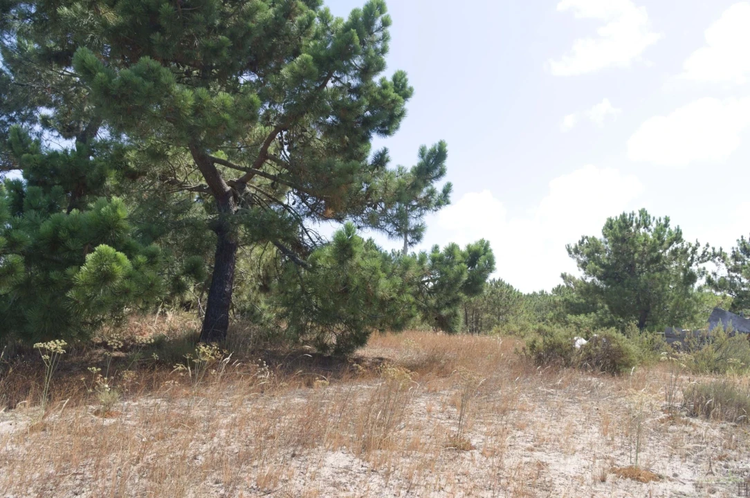 Terreno para Venda em Comporta Foto 16