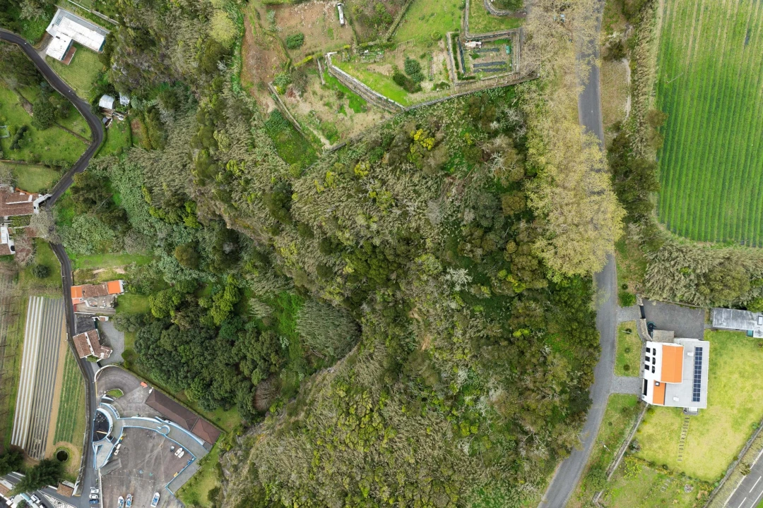 Terreno para Venda em Agua de Pau Foto 1