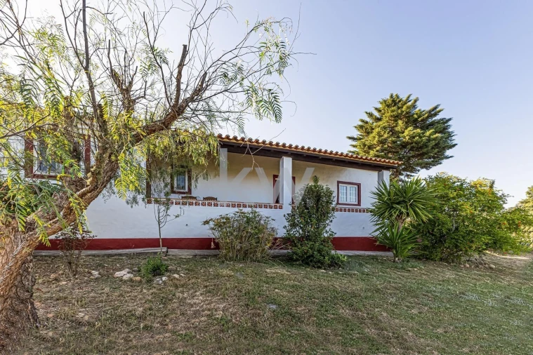 Moradia T8 para Venda em Reliquias Foto 30