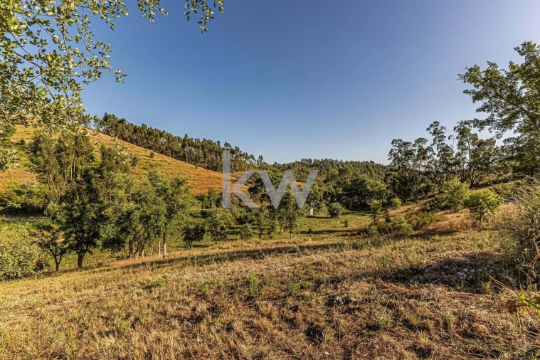 Moradia T8 para Venda em Reliquias Foto 39