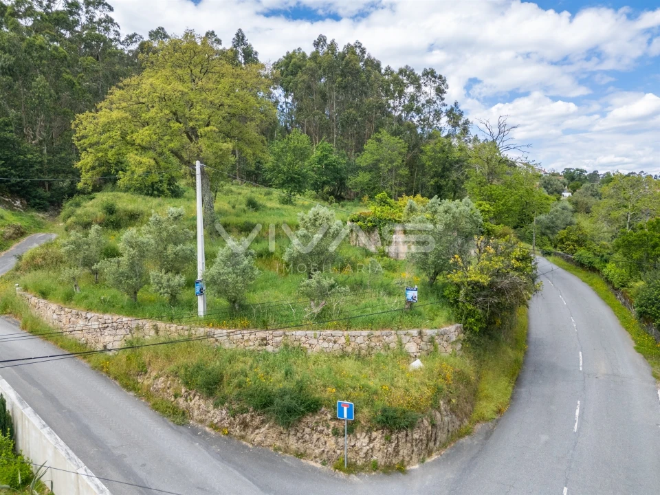 Moradia T0 para Venda em Ardegão, Freixo e Mato Foto 3