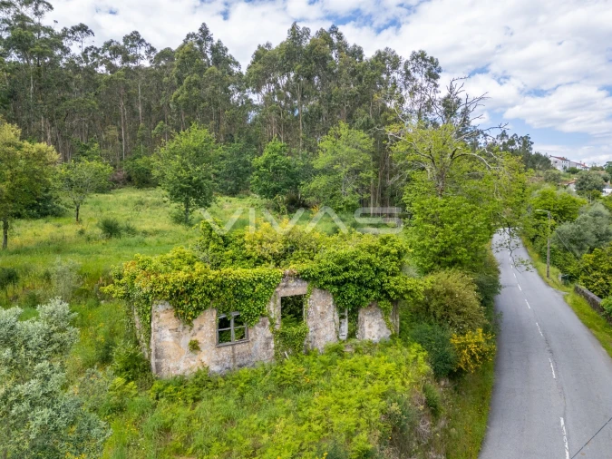 Moradia T0 para Venda em Ardegão, Freixo e Mato Foto 1