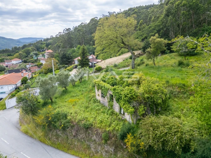 Moradia T0 para Venda em Ardegão, Freixo e Mato Foto 5