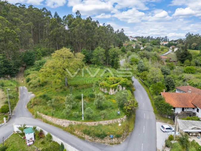 Moradia T0 para Venda em Ardegão, Freixo e Mato Foto 4