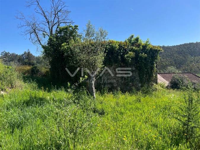 Moradia T0 para Venda em Ardegão, Freixo e Mato Foto 14