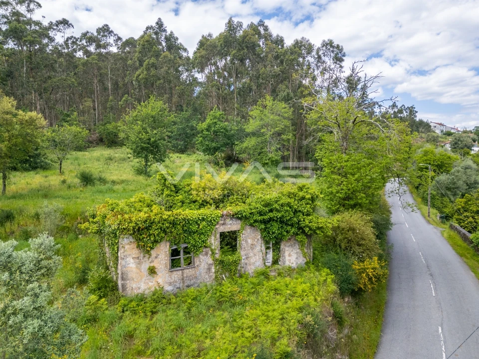 Moradia T0 para Venda em Ardegão, Freixo e Mato Foto 1