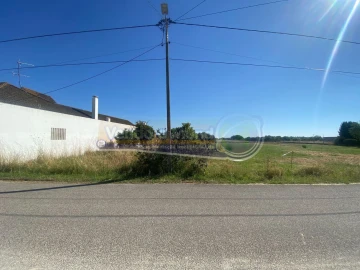 Terreno para Venda em Marinhais