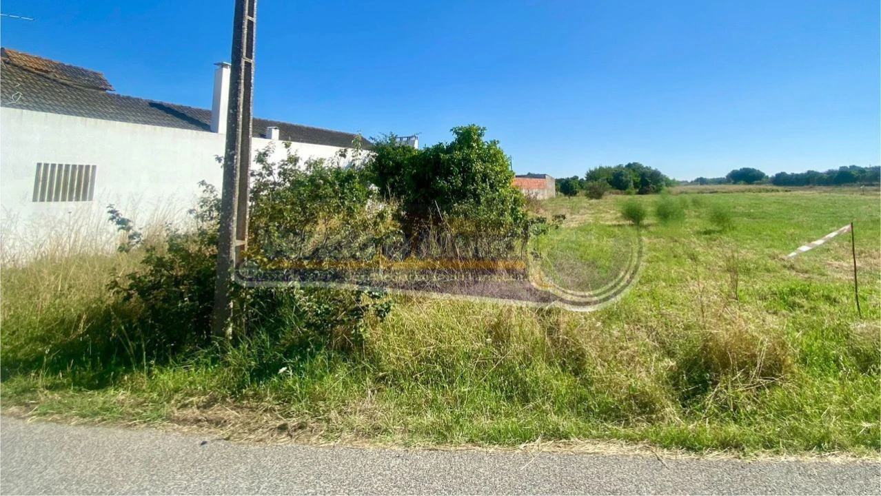 Terreno para Venda em Marinhais Foto 2