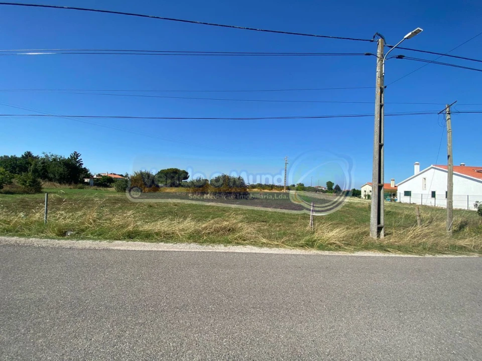 Terreno para Venda em Marinhais Foto 3