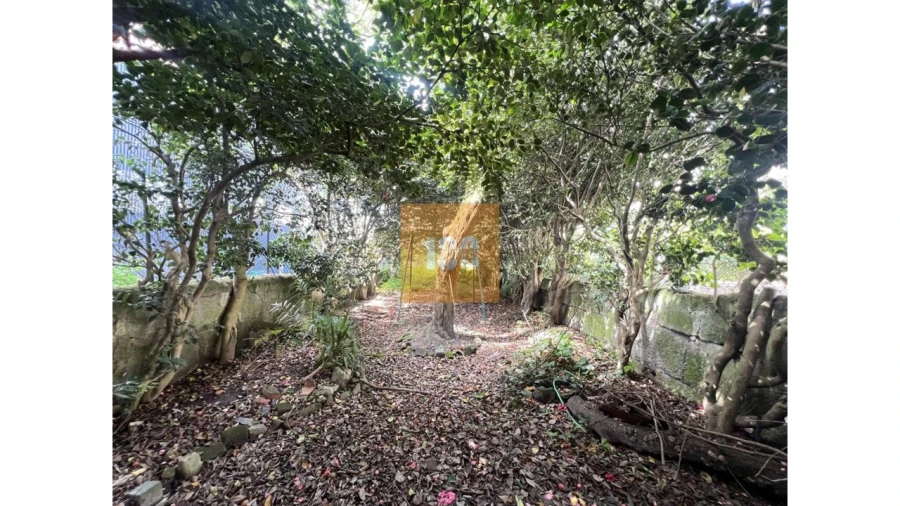 Moradia T6 para Arrendamento em Cedofeita, Santo Ildefonso, Sé, Miragaia, São Nicolau e Vitória Foto 4