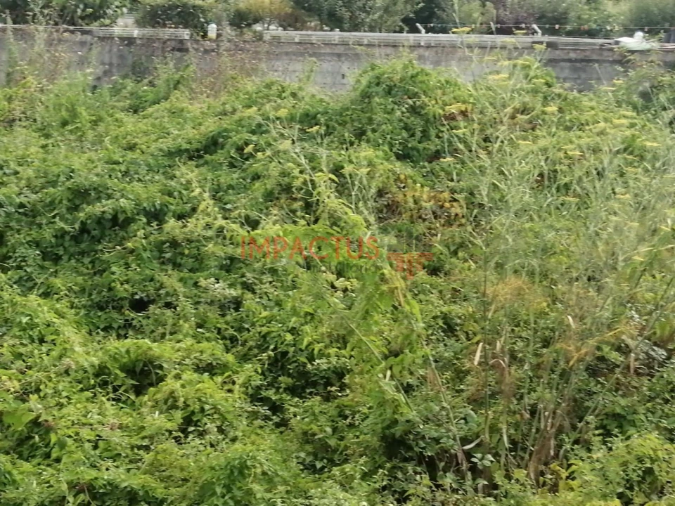 Terreno para Venda em Coronado (São Romão e São Mamede) Foto 5