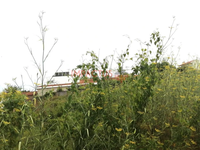 Terreno para Venda em Coronado (São Romão e São Mamede) Foto 9