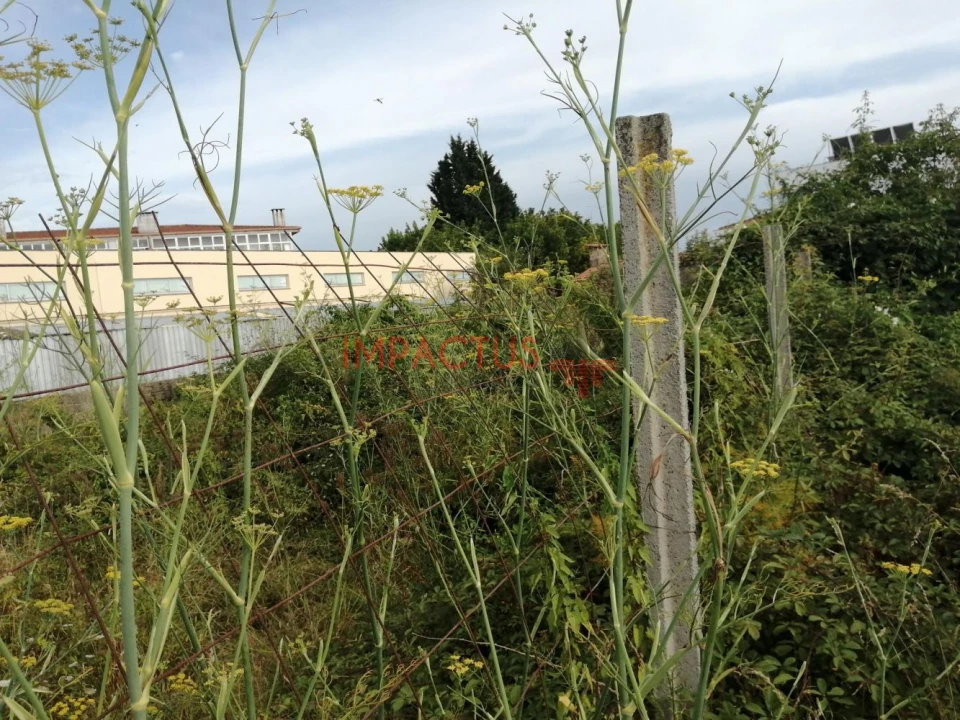 Terreno para Venda em Coronado (São Romão e São Mamede) Foto 8