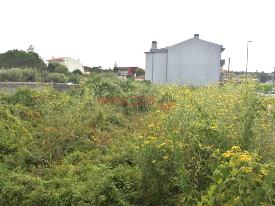 Terreno para Venda em Coronado (São Romão e São Mamede) Foto 2