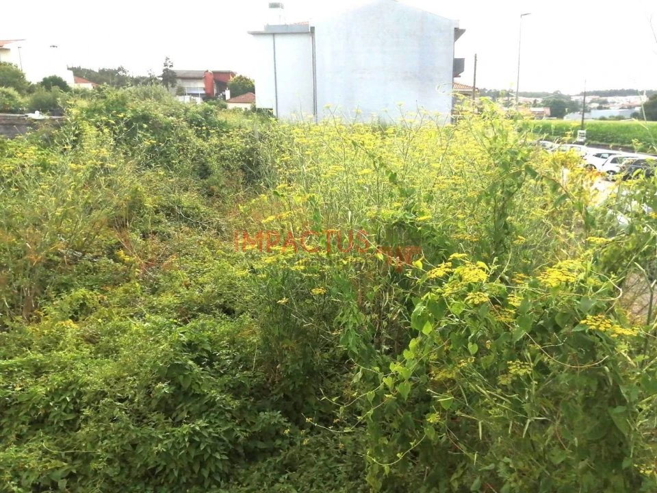 Terreno para Venda em Coronado (São Romão e São Mamede) Foto 10