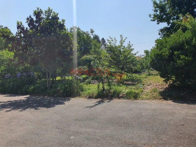 Loja para Venda em Bougado (São Martinho e Santiago) Foto 13