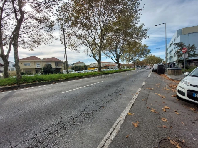 Terreno para Venda em Paranhos Foto 5