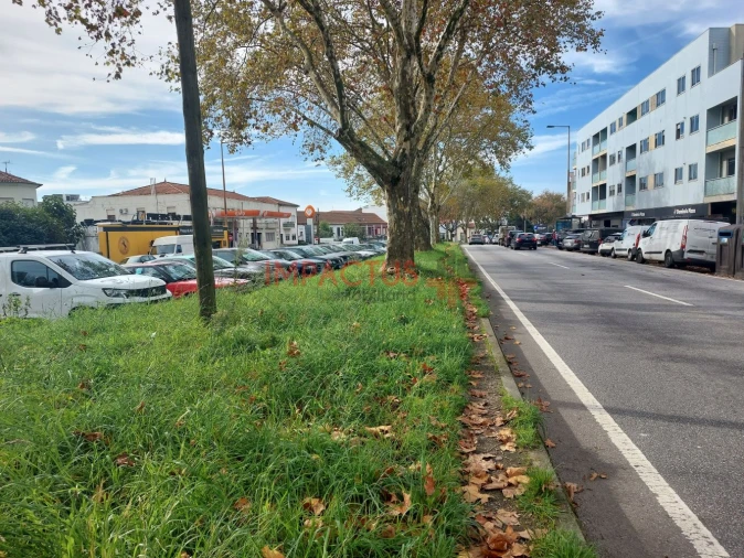 Terreno para Venda em Paranhos Foto 4