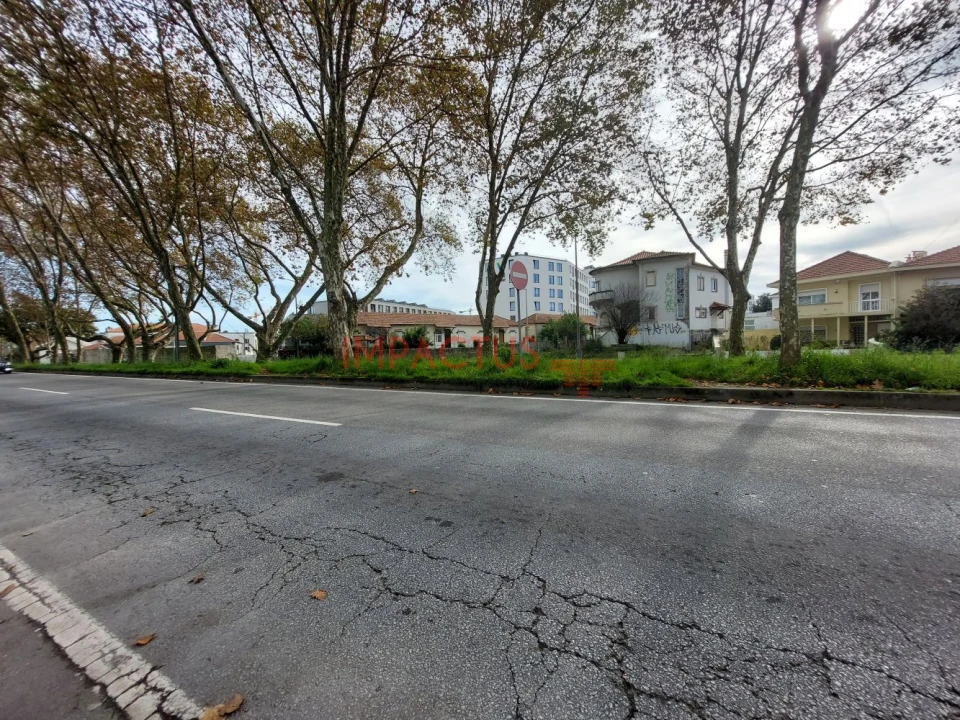 Terreno para Venda em Paranhos Foto 6