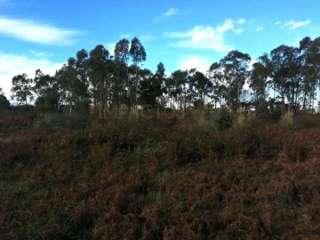 Terreno para Venda em Perafita, Lavra e Santa Cruz do Bispo
