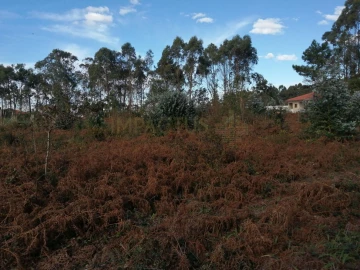 Terreno para Venda em Perafita, Lavra e Santa Cruz do Bispo