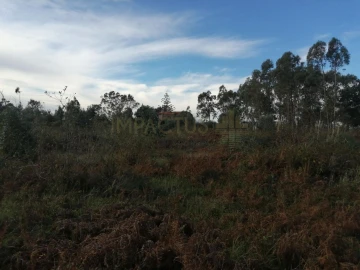 Terreno para Venda em Perafita, Lavra e Santa Cruz do Bispo