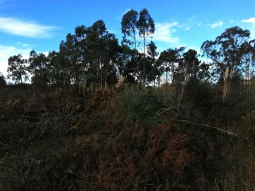 Terreno para Venda em Perafita, Lavra e Santa Cruz do Bispo