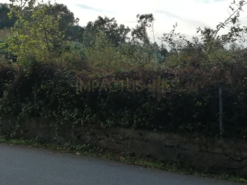 Terreno para Venda em Perafita, Lavra e Santa Cruz do Bispo