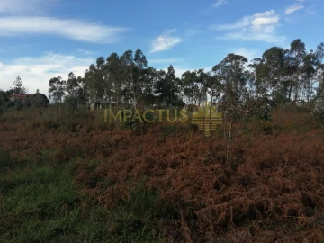 Terreno para Venda em Perafita, Lavra e Santa Cruz do Bispo