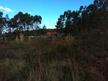 Terreno para Venda em Perafita, Lavra e Santa Cruz do Bispo