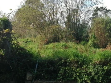 Terreno para Venda em Perafita, Lavra e Santa Cruz do Bispo