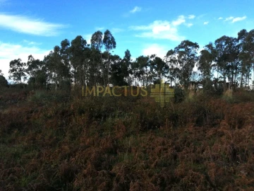 Terreno para Venda em Perafita, Lavra e Santa Cruz do Bispo